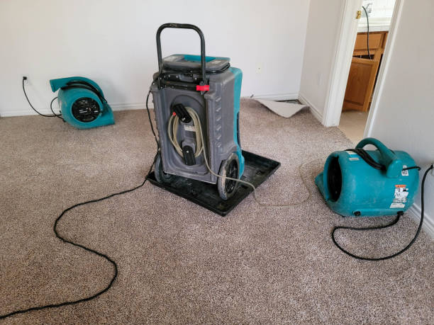 Best Emergency water damage restoration  in Osakis, MN
