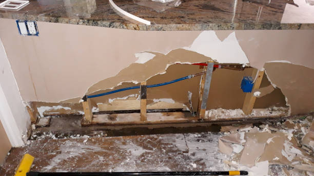 Best Sewage cleanup and water damage restoration  in Osakis, MN