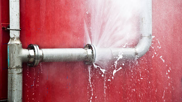 Best Residential water damage restoration  in Osakis, MN